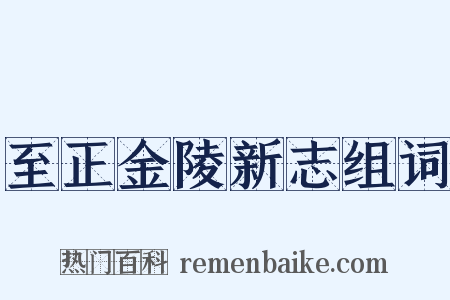 至正金陵新志组词是什么意思的图片